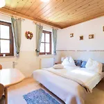 Apartment Apartmajska Hisa Mustrinka *