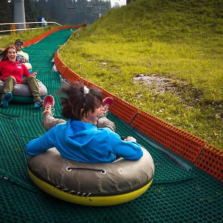 Apartmajska Hisa Mustrinka