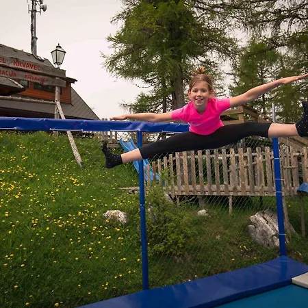 Apartmajska Hisa Mustrinka Cerklje na Gorenjskem