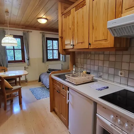 Apartment Apartmajska Hisa Mustrinka *