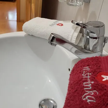 Apartmajska Hisa Mustrinka *