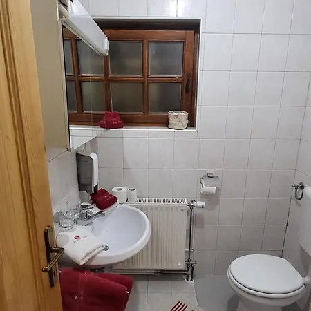 Apartmajska Hisa Mustrinka