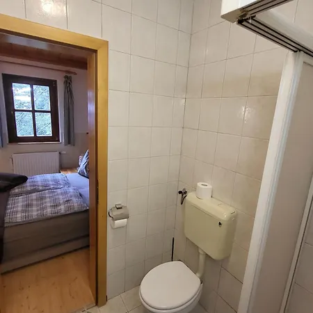 Apartmajska Hisa Mustrinka アパート