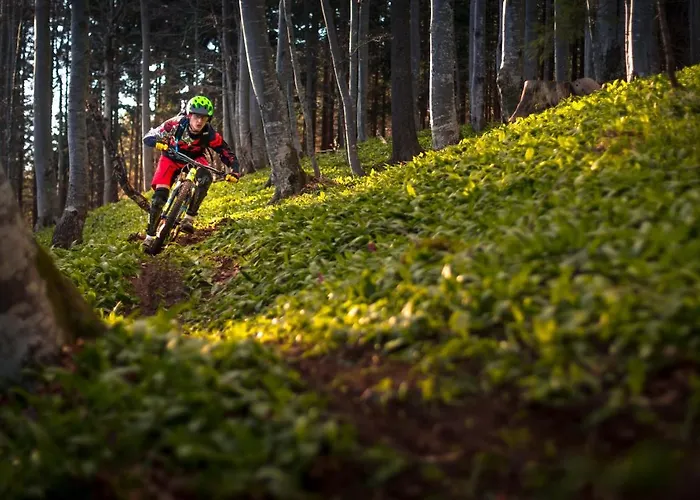 Apartmajska Hisa Mustrinka Cerklje na Gorenjskem