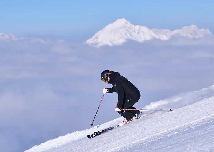 Apartmajska Hisa Mustrinka *